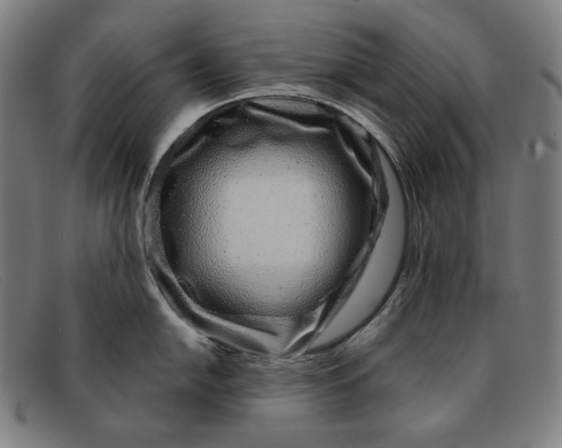 X0000091311054200708311353