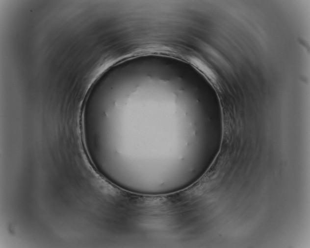 X0000091311055200708311353