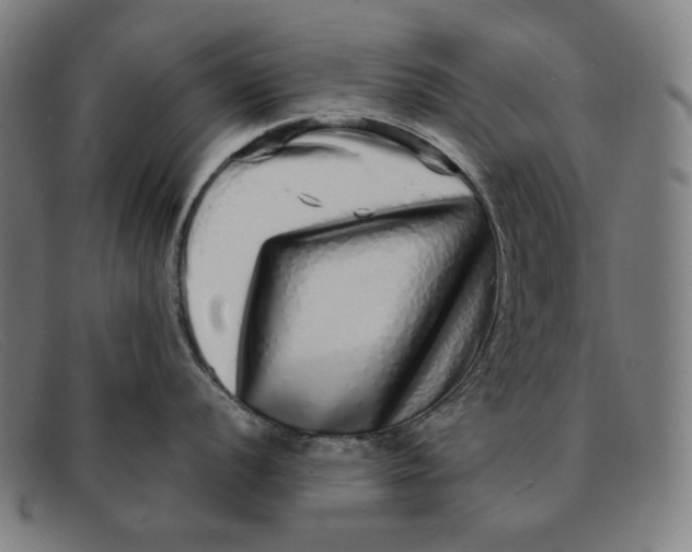 X0000091311056200708311353