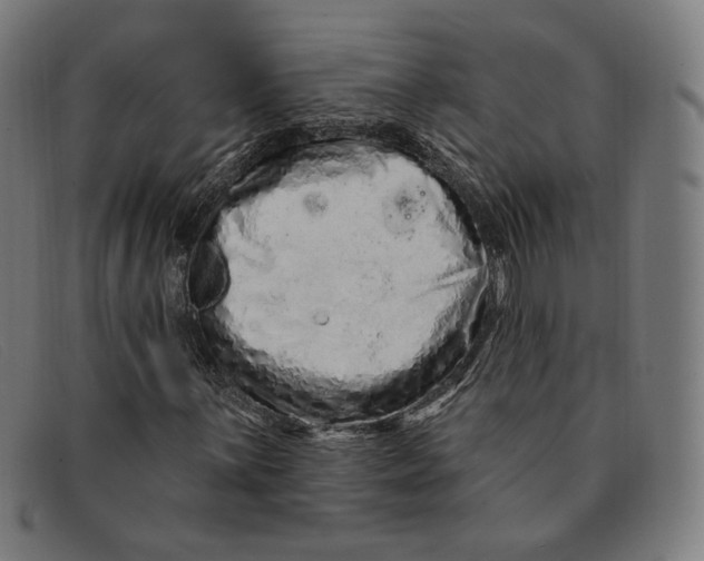 X0000091311059200708311352