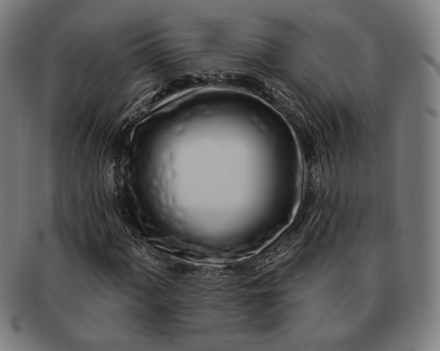 X0000091311060200708311352