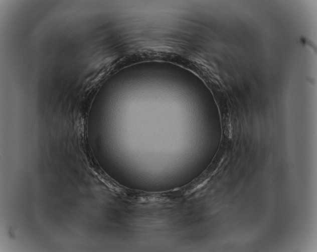 X0000091311061200708311352