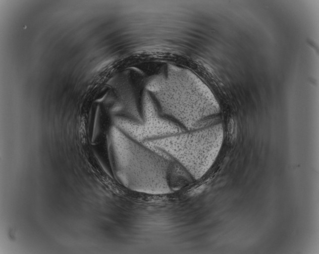 X0000091311062200708311352