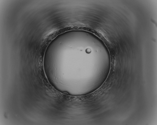 X0000091311063200708311352