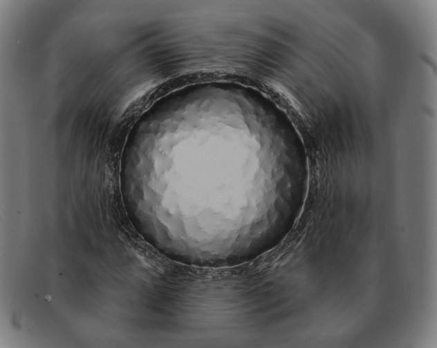 X0000091311064200708311352