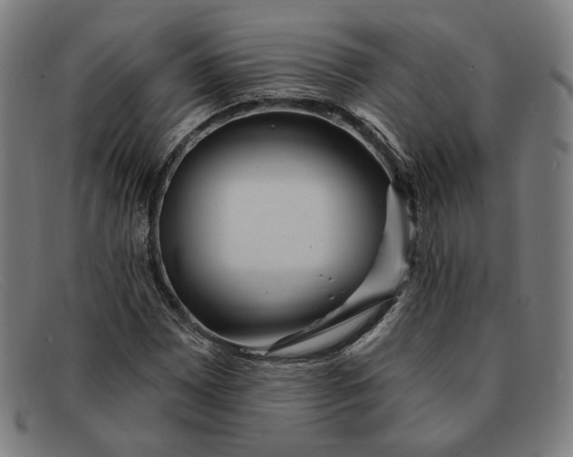 X0000091311065200708311352