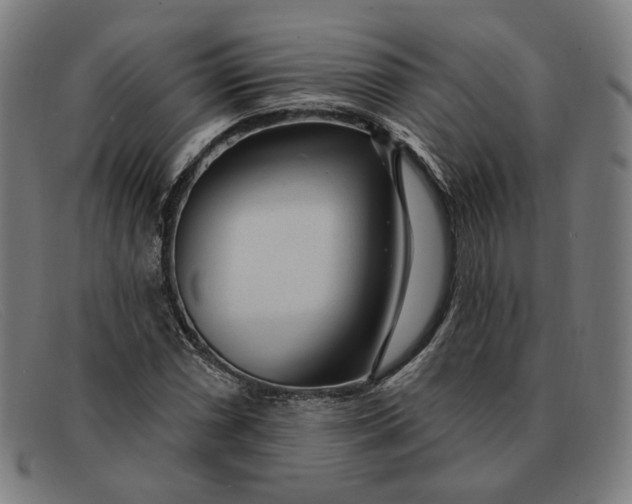 X0000091311066200708311352