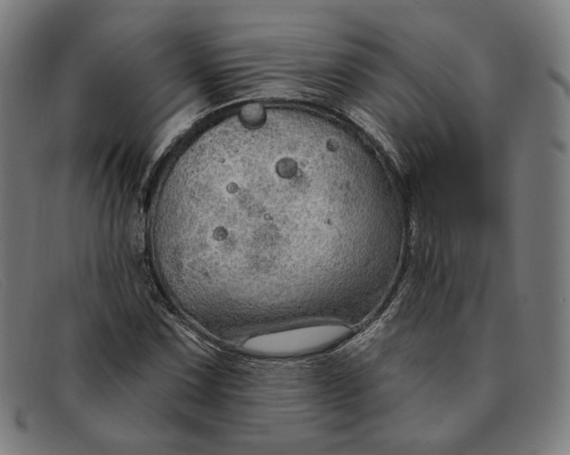 X0000091311067200708311352