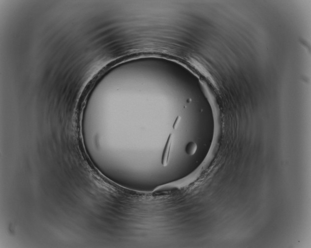 X0000091311068200708311352