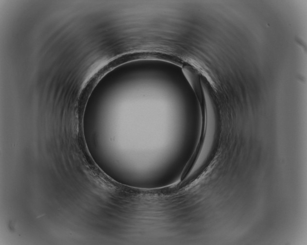 X0000091311069200708311352