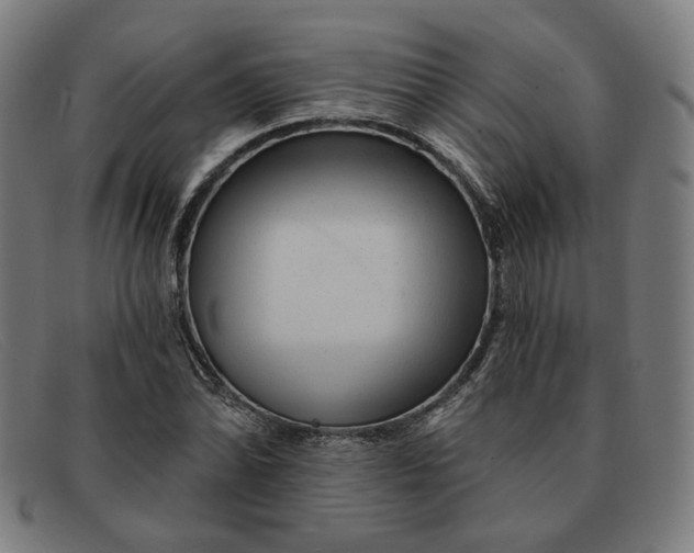 X0000091311070200708311352