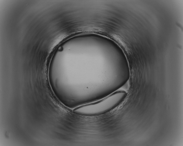 X0000091311071200708311352