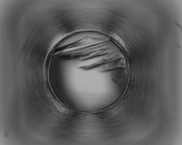 X0000091311072200708311352