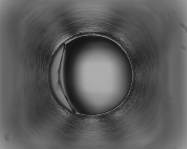 X0000091311073200708311352