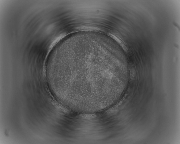 X0000091311074200708311352