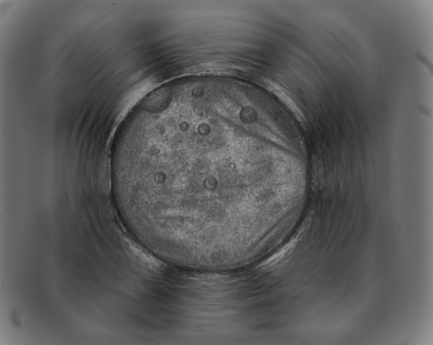 X0000091311075200708311352