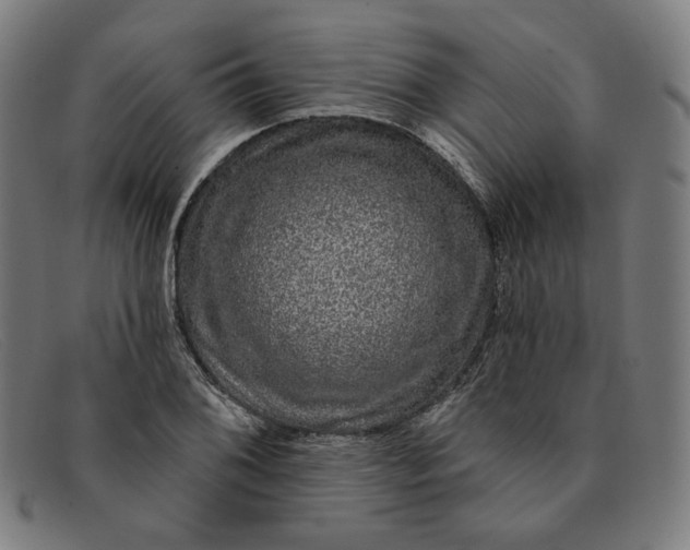 X0000091311076200708311352