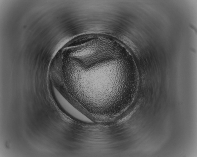 X0000091311077200708311352