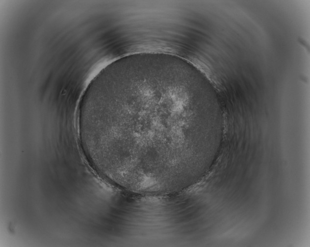 X0000091311078200708311352