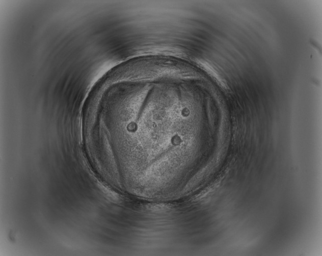 X0000091311079200708311352