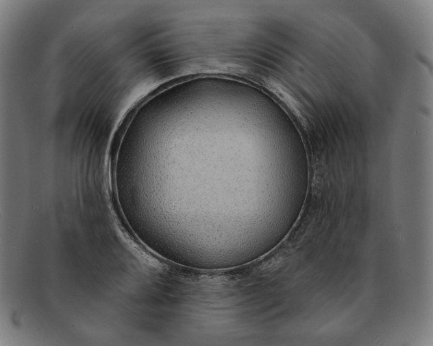 X0000091311080200708311352