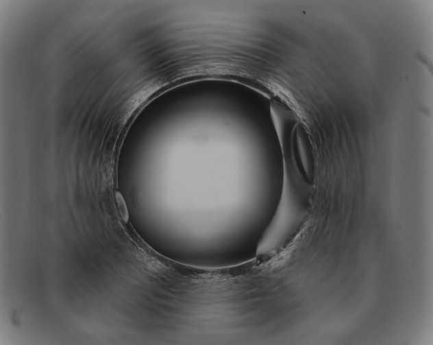 X0000091311081200708311352