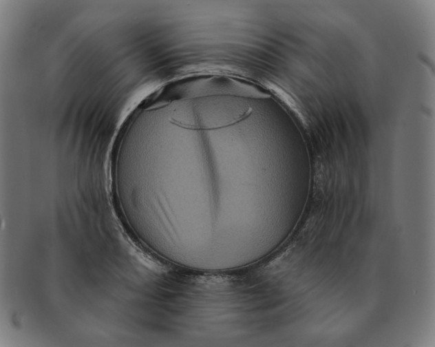 X0000091311082200708311352