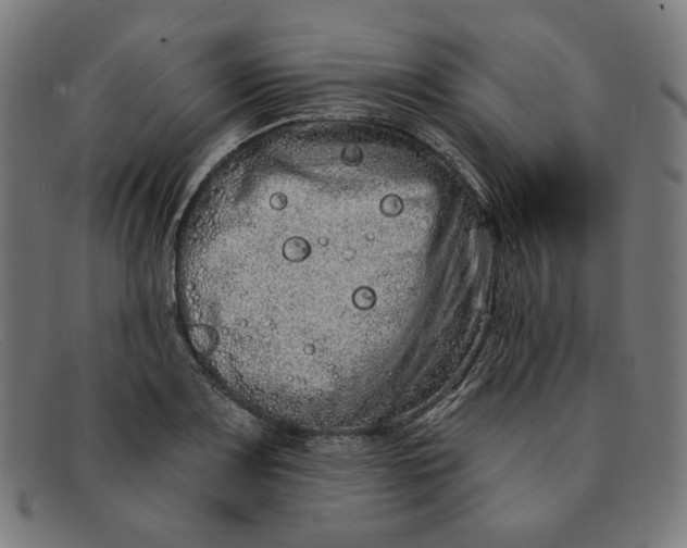 X0000091311083200708311352