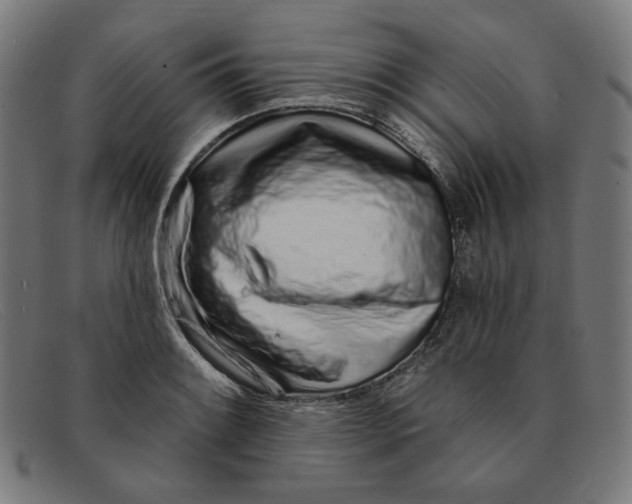 X0000091311084200708311352