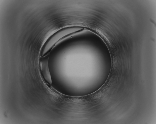 X0000091311085200708311352