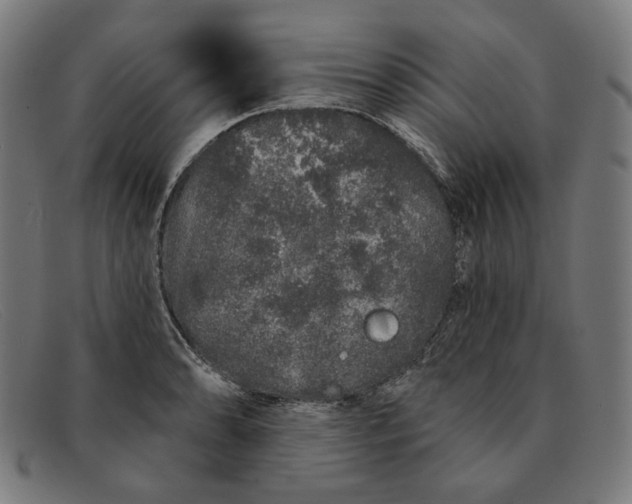 X0000091311086200708311352