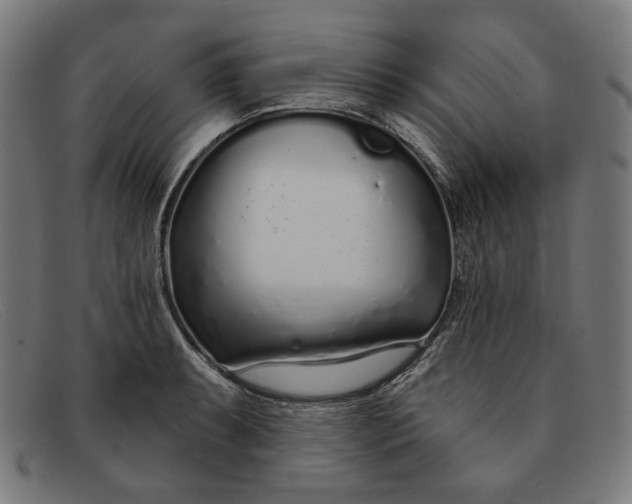 X0000091311087200708311352