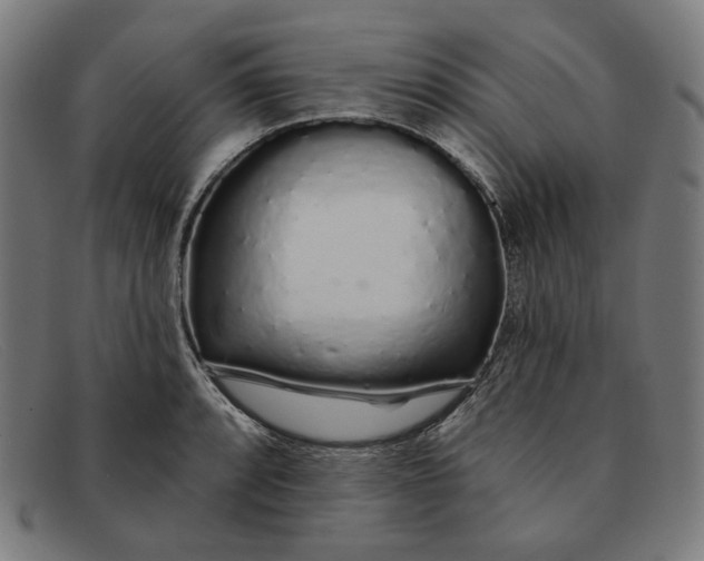 X0000091311088200708311352