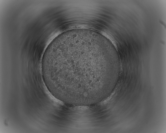 X0000091311090200708311352