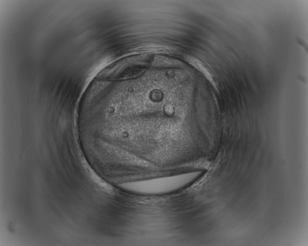 X0000091311091200708311352