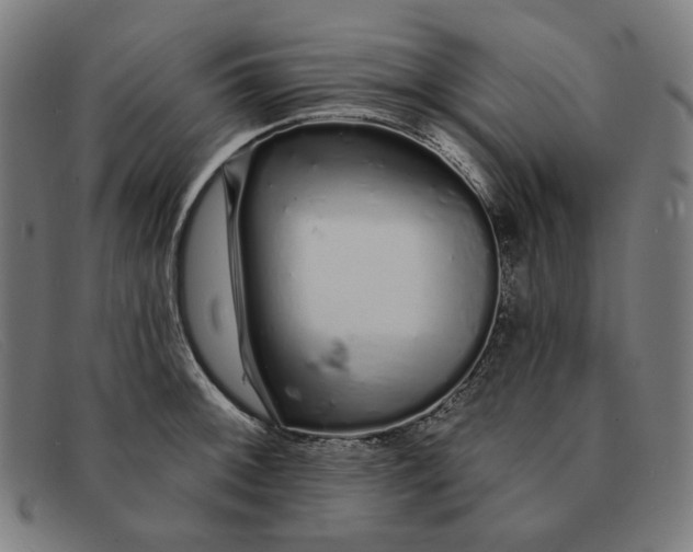 X0000091311092200708311352