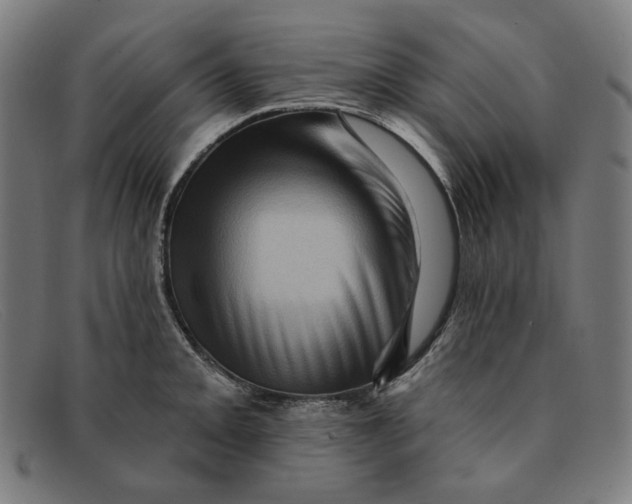 X0000091311093200708311352