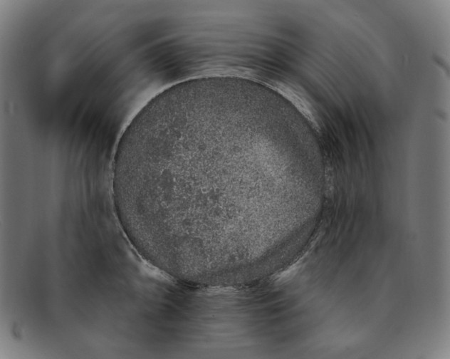 X0000091311094200708311352