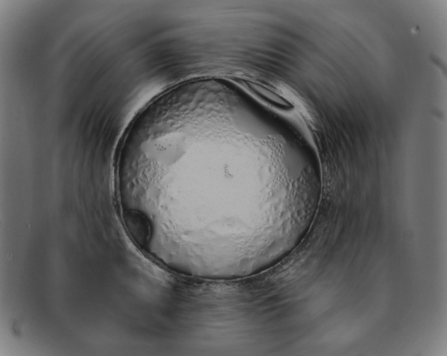 X0000091311095200708311352