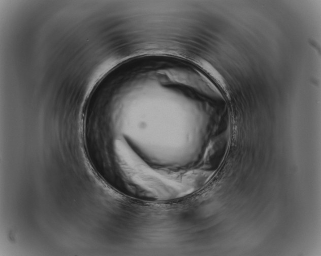 X0000091311096200708311352