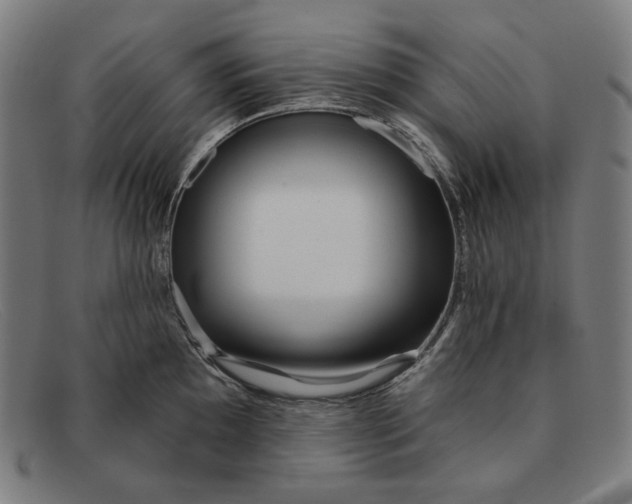 X0000091311097200708311351