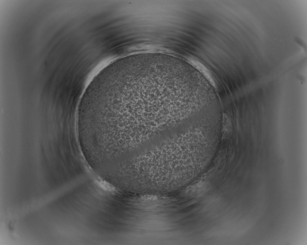 X0000091311098200708311351