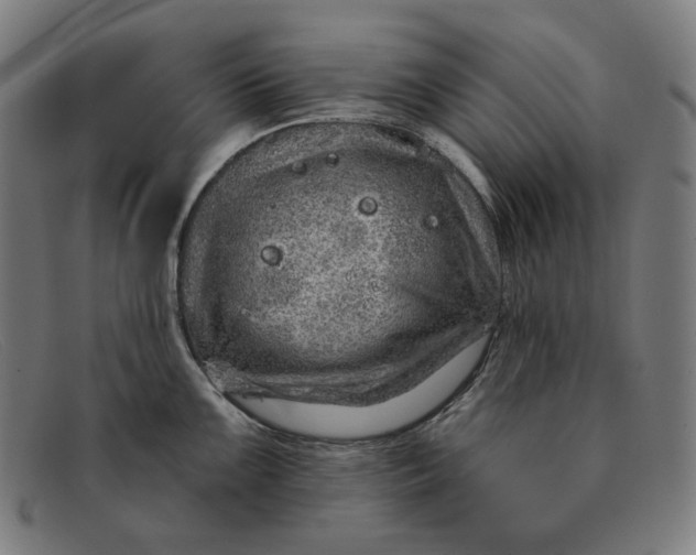 X0000091311099200708311351