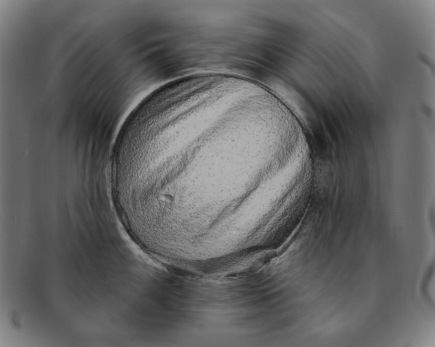 X0000091311100200708311351