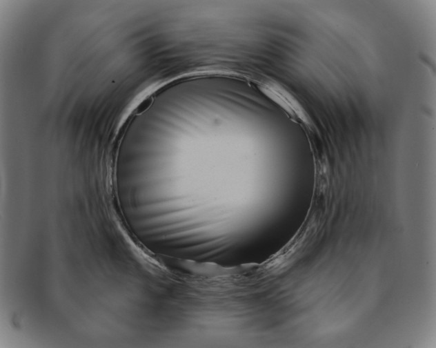 X0000091311101200708311351