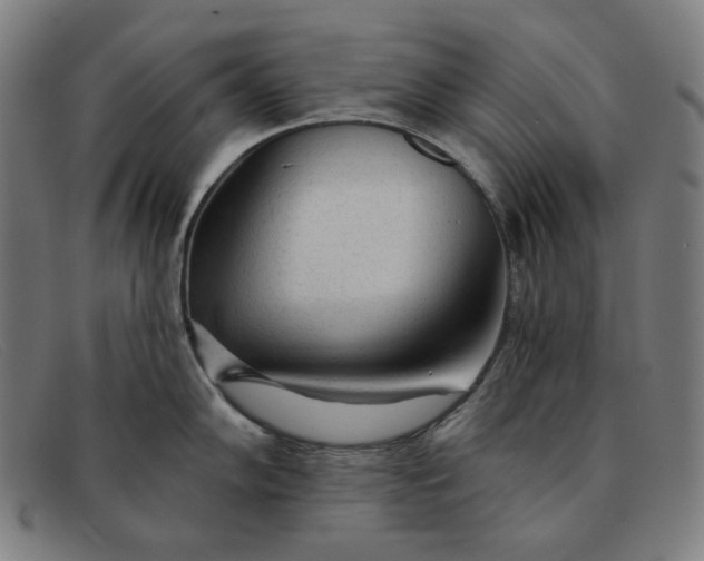 X0000091311102200708311351