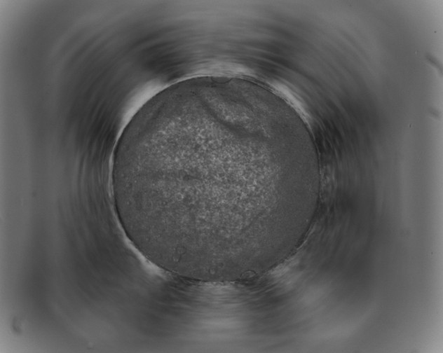 X0000091311103200708311351