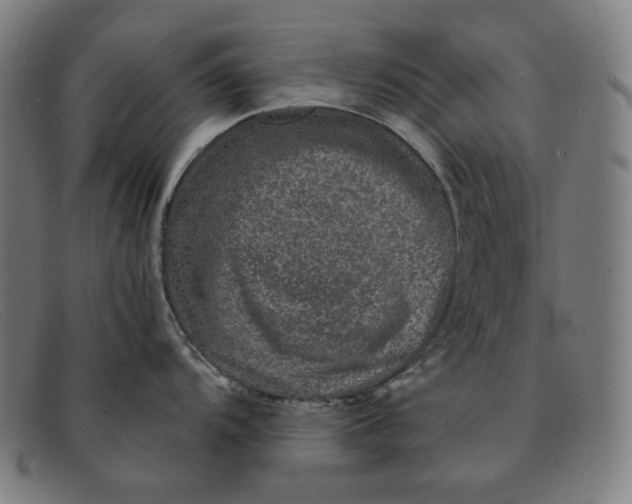 X0000091311104200708311351