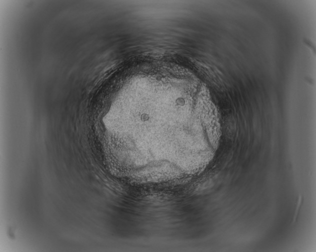 X0000091311105200708311351