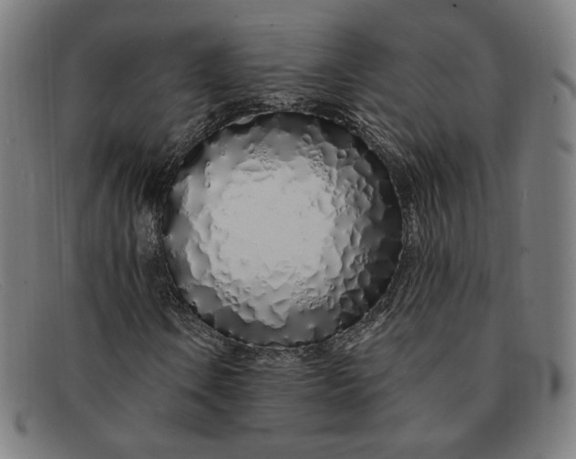 X0000091311106200708311351